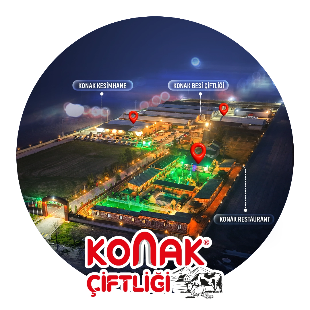 Hakkımızda